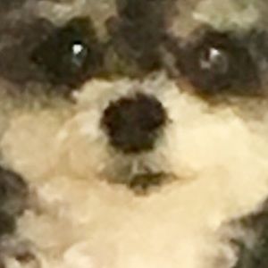 Meet your Posher, Suzanne